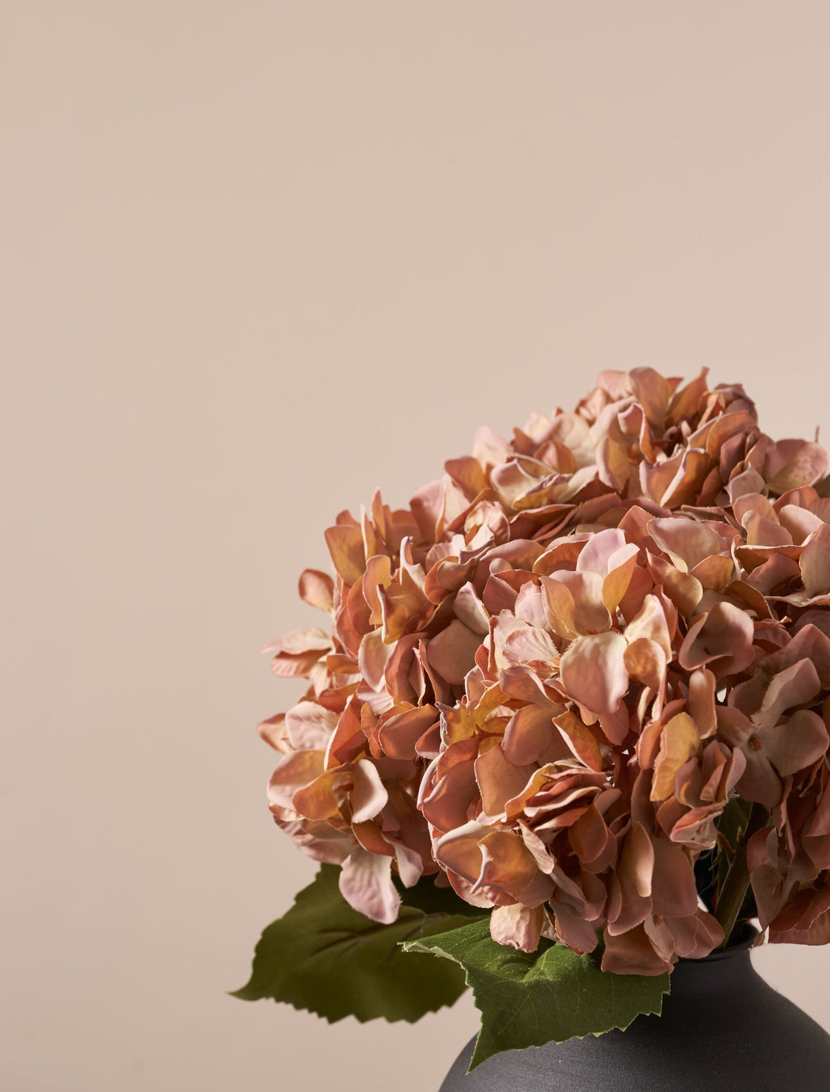 Une décoration d’automne contemporaine