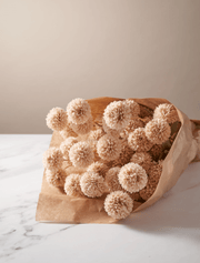Crisantemos Kiku artificiales – Crema (10 tallos / 50 flores)
