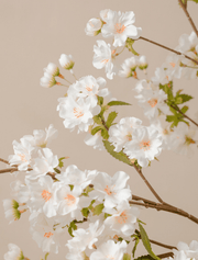Faux Japanese Cherry Blossom Branches – White (6 stems)
