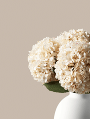 Grands hortensias artificiels – Crème (5 tiges)