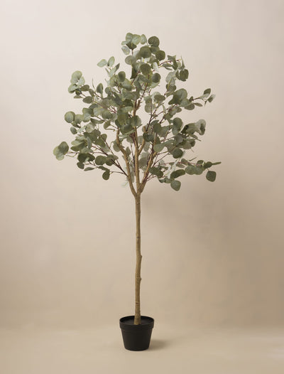 Faux Eucalyptus – 160 cm