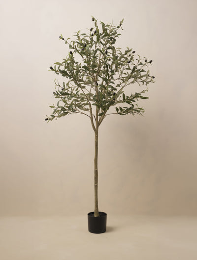 Faux Olive Tree – 160 cm