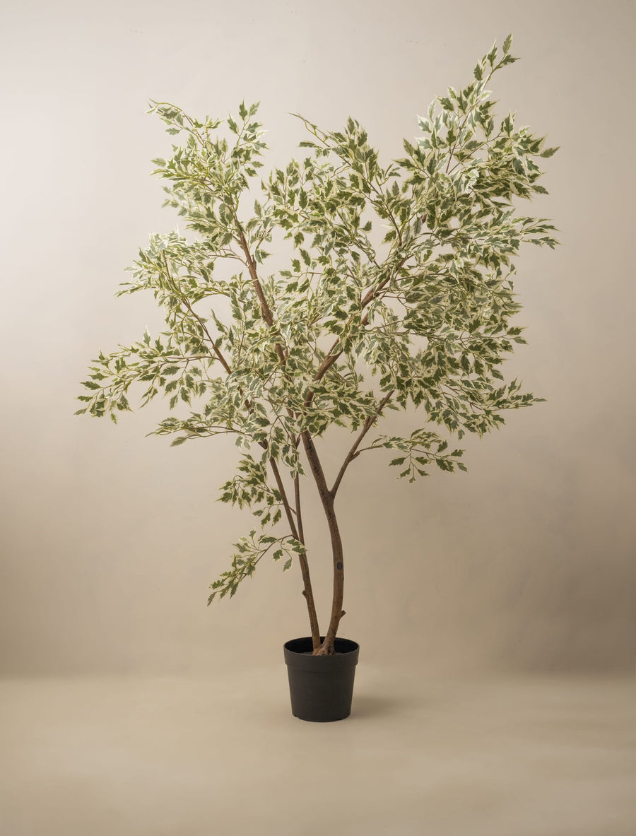 Ficus Anastasia artificiel