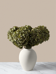 Grands hortensias artificiels – Vert (5 tiges)