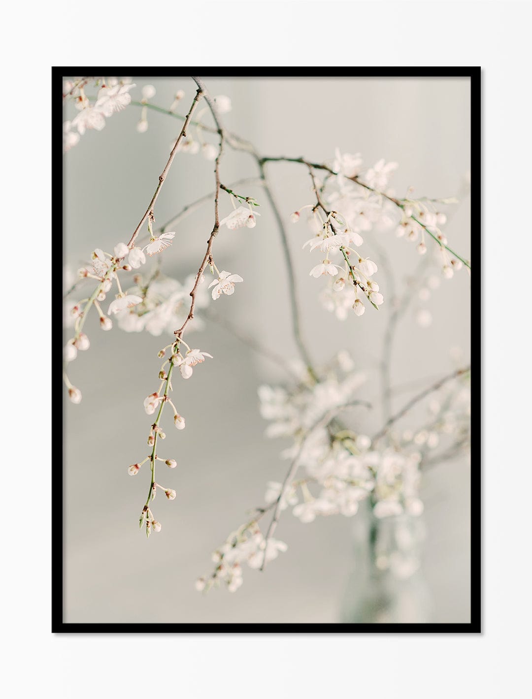 Art Print – Floral Art