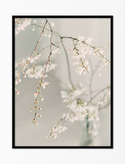 Art Print – Floral Art