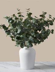 Künstlicher Cinerea-Eukalyptus – Grün (6 Stiele)