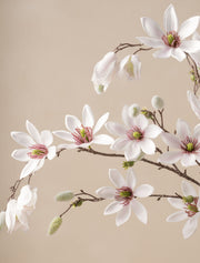 Grandes branches de magnolia artificiel – Blanc (8 tiges)