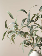 Faux Willow-Leaf Eucalyptus – Green (5 stems)