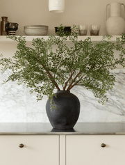 Grandes branches de ruscus artificiel (2 branches)