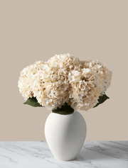 Grands hortensias artificiels – Crème (5 tiges)