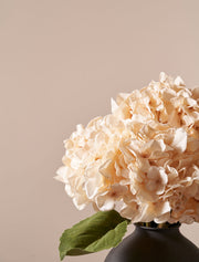 Bouquet d’hortensias artificiels – Crème (4 tiges)