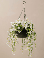 Cesta colgante de petunias de exterior – Blanco