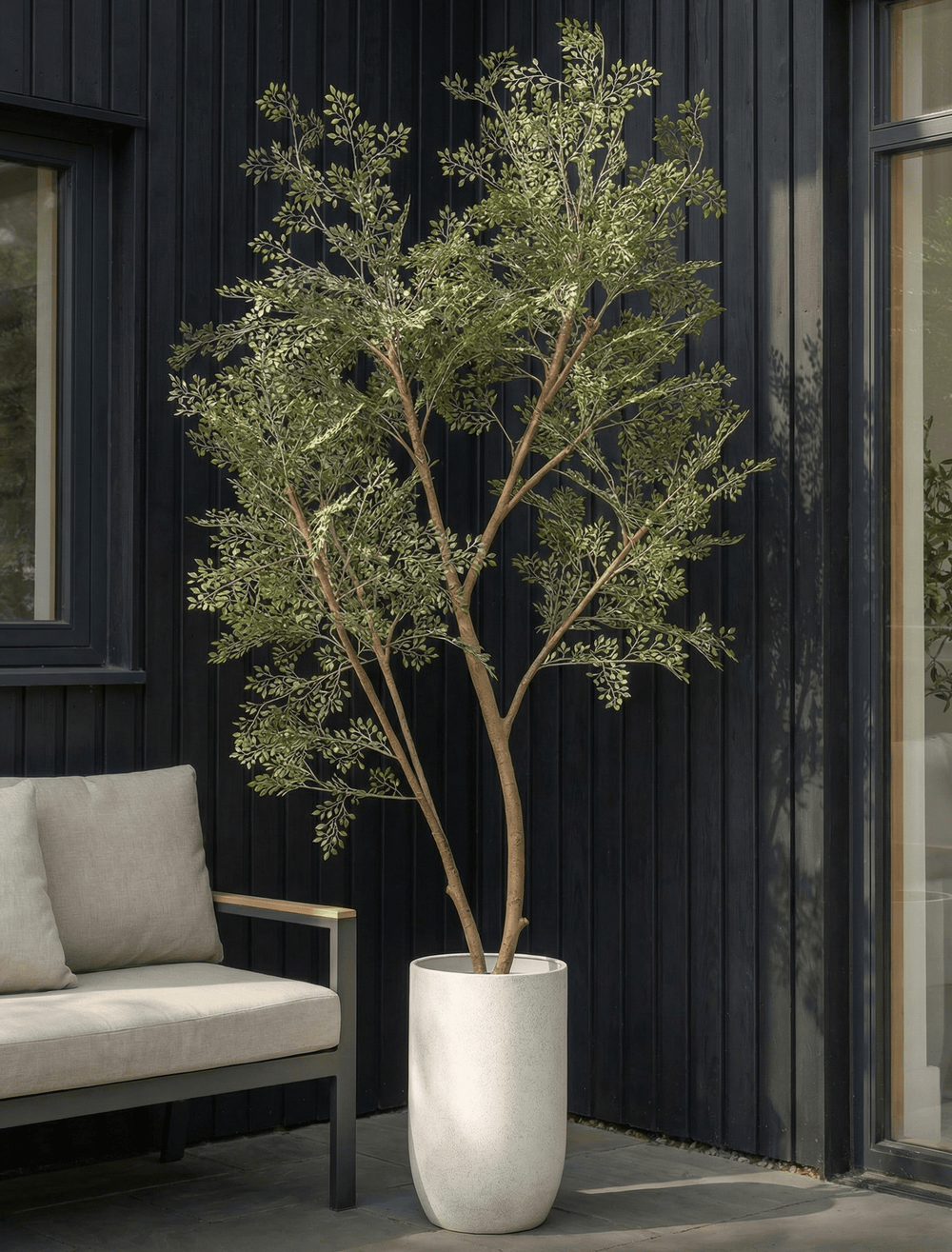 Arbres, pots et mousse