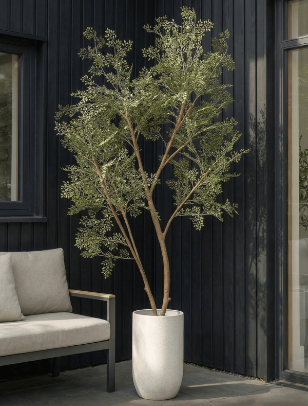 Arbres, pots et mousse
