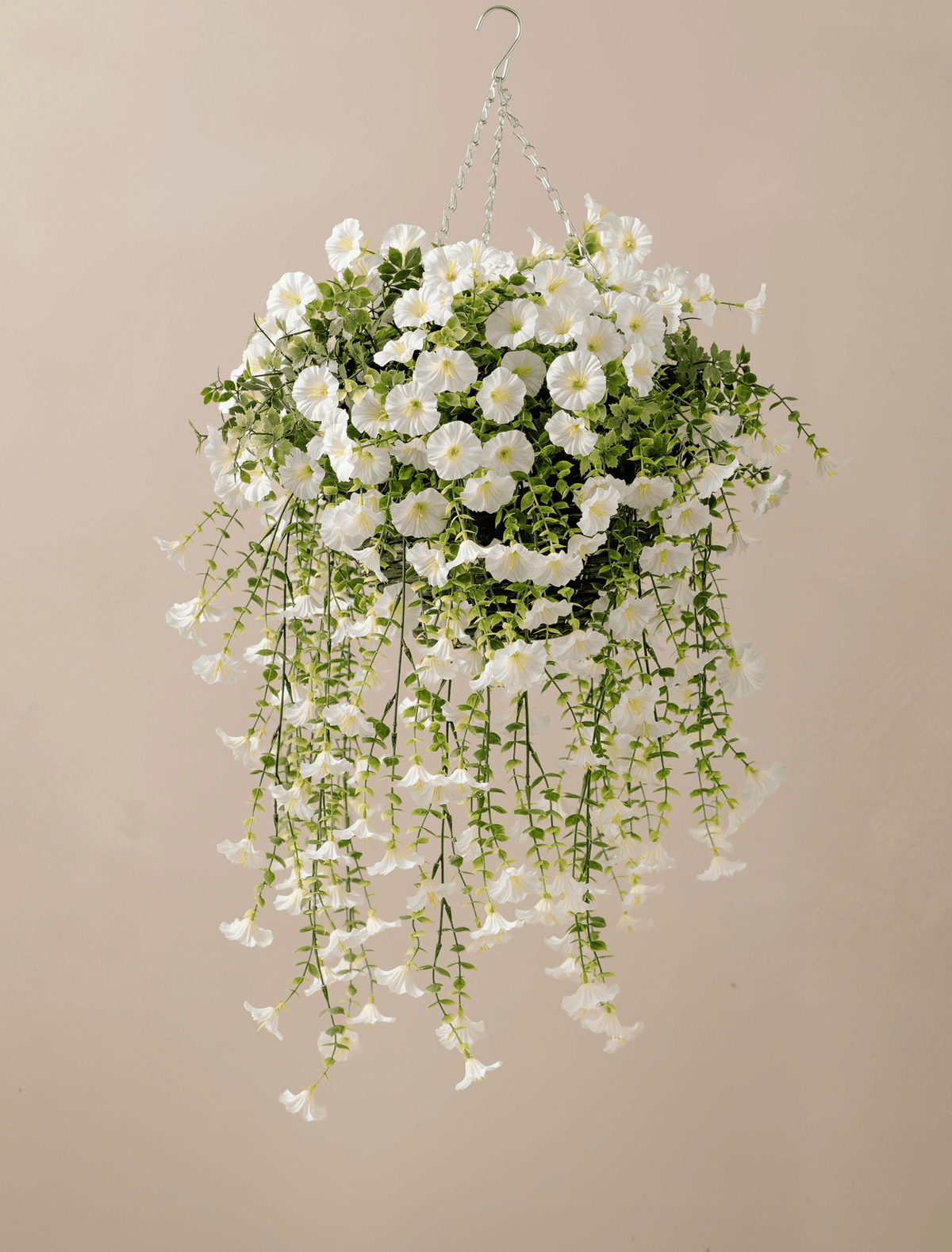 Cesta colgante de petunias de exterior – Blanco