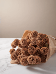 Fleur artificielle Kiku – Marron (10 tiges/50 têtes)