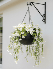 Panier Suspendu en fer Iris – Noir